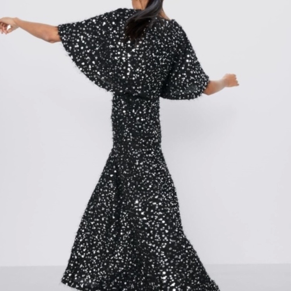 NWT Zara Maxi Sequin Dress